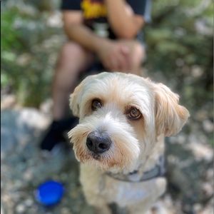 Meet your Posher, Ber